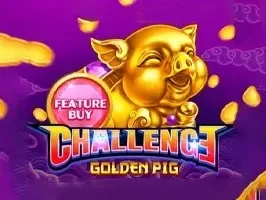 FEATURE BUY・GOLDEN PIG